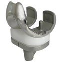 Freedom Knee PS & CR system, Pat / no Pat